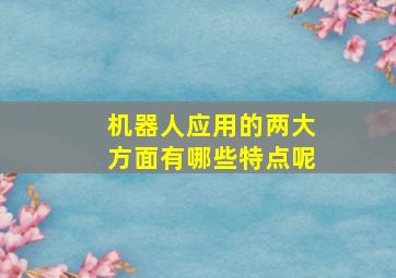 机器人应用的两大方面有哪些特点呢