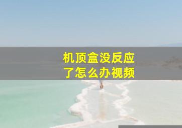 机顶盒没反应了怎么办视频