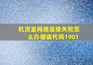 机顶盒网络连接失败怎么办错误代码1901