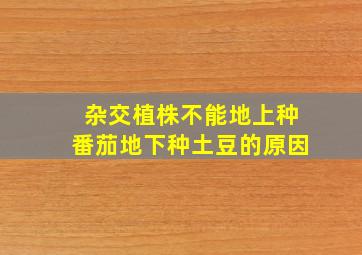 杂交植株不能地上种番茄地下种土豆的原因