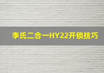 李氏二合一HY22开锁技巧