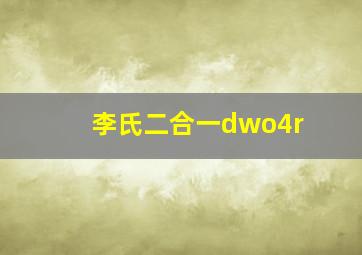 李氏二合一dwo4r