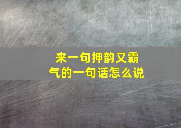 来一句押韵又霸气的一句话怎么说