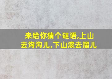 来给你猜个谜语,上山去沟沟儿,下山滚去溜儿