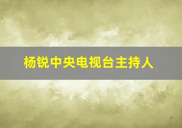 杨锐中央电视台主持人