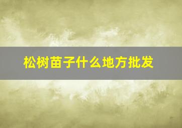 松树苗子什么地方批发