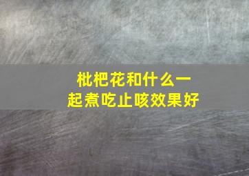 枇杷花和什么一起煮吃止咳效果好