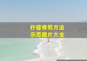 柠檬修剪方法示范图片大全