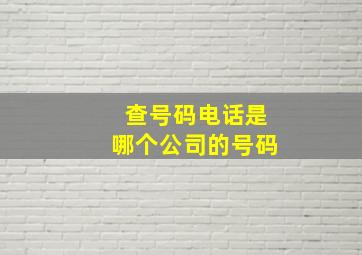 查号码电话是哪个公司的号码