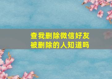 查我删除微信好友被删除的人知道吗