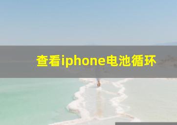 查看iphone电池循环