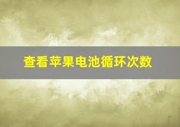 查看苹果电池循环次数