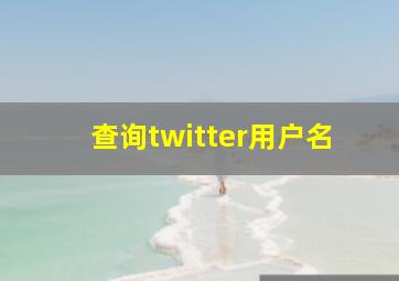 查询twitter用户名