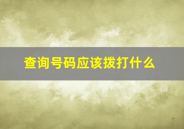 查询号码应该拨打什么