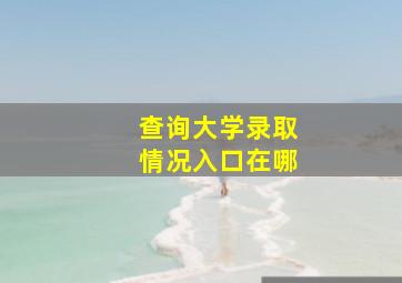 查询大学录取情况入口在哪