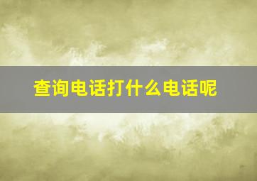 查询电话打什么电话呢