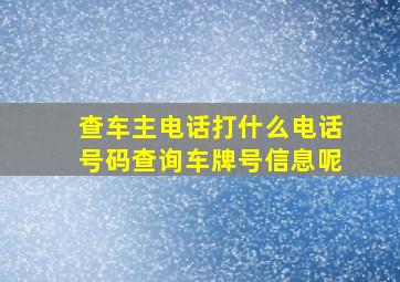 查车主电话打什么电话号码查询车牌号信息呢