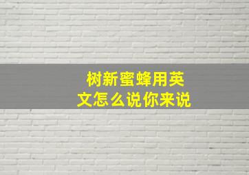 树新蜜蜂用英文怎么说你来说