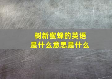 树新蜜蜂的英语是什么意思是什么