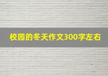 校园的冬天作文300字左右