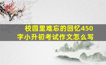 校园里难忘的回忆450字小升初考试作文怎么写