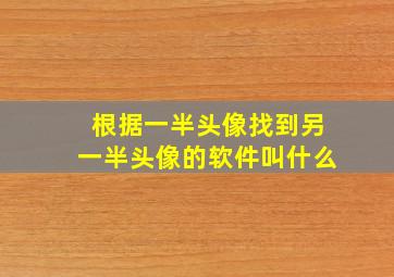 根据一半头像找到另一半头像的软件叫什么