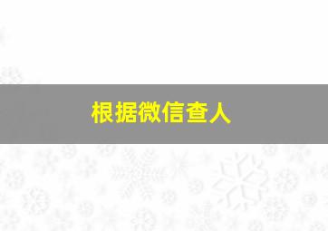 根据微信查人