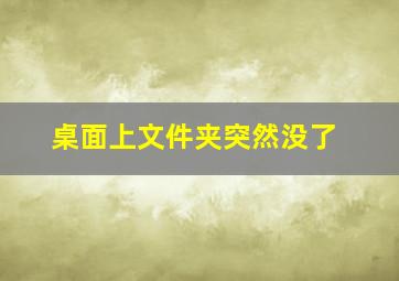 桌面上文件夹突然没了