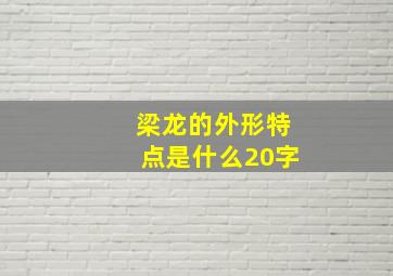 梁龙的外形特点是什么20字