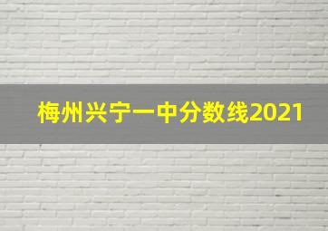 梅州兴宁一中分数线2021