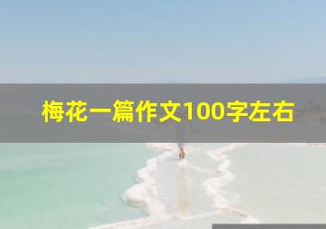 梅花一篇作文100字左右