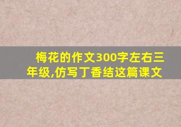 梅花的作文300字左右三年级,仿写丁香结这篇课文