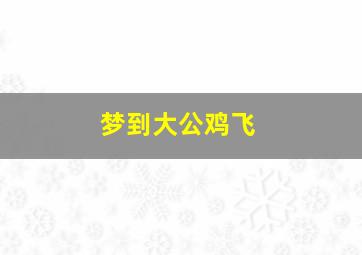 梦到大公鸡飞