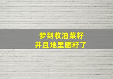 梦到收油菜籽并且地里晒籽了