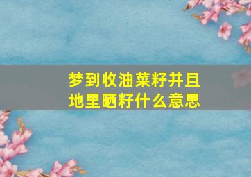 梦到收油菜籽并且地里晒籽什么意思