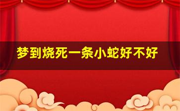 梦到烧死一条小蛇好不好