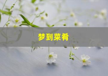 梦到菜肴