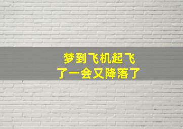 梦到飞机起飞了一会又降落了