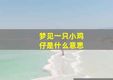 梦见一只小鸡仔是什么意思