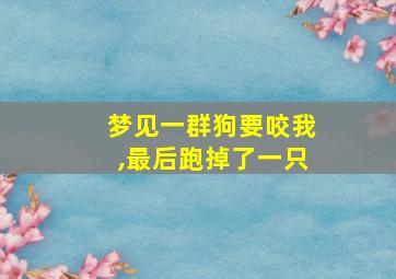 梦见一群狗要咬我,最后跑掉了一只