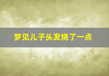 梦见儿子头发烧了一点