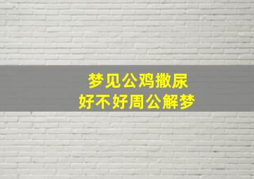 梦见公鸡撒尿好不好周公解梦