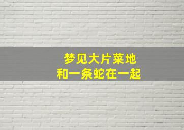 梦见大片菜地和一条蛇在一起