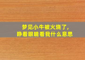 梦见小牛被火烧了,睁着眼睛看我什么意思