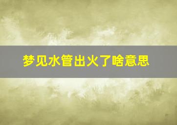 梦见水管出火了啥意思