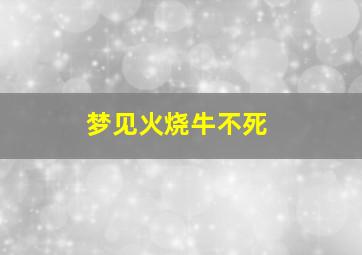 梦见火烧牛不死