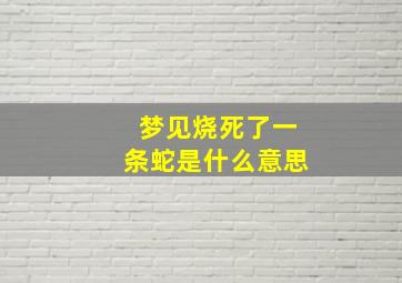 梦见烧死了一条蛇是什么意思