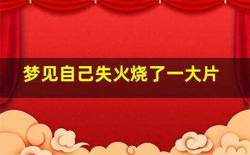 梦见自己失火烧了一大片