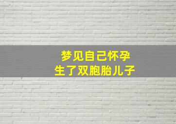 梦见自己怀孕生了双胞胎儿子