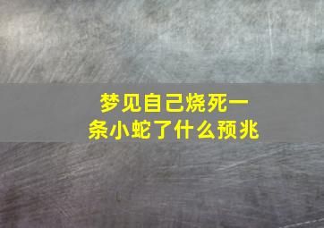 梦见自己烧死一条小蛇了什么预兆